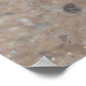 Poster Tiny Toad (Coin)