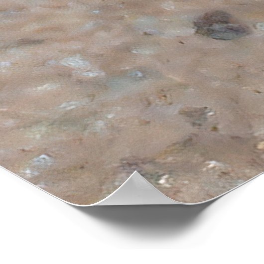 Poster Tiny Toad (Coin)