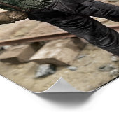 Poster Tipple Boy (Coin)