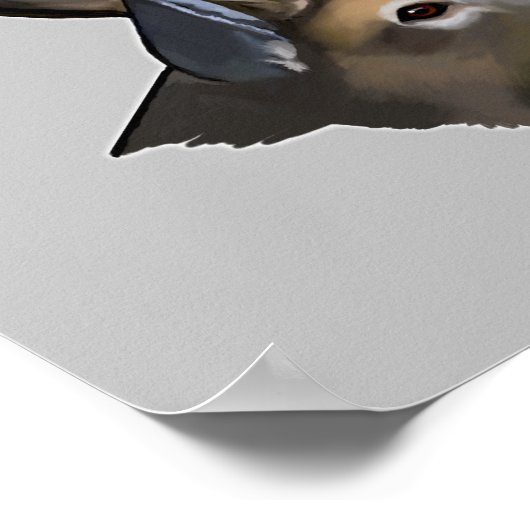 Poster Tirage de Cher Buck à queue blanche (Coin)