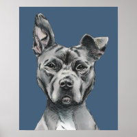 Tirage de Chien Taureau Stalky gris