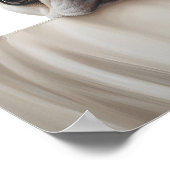 Poster tirage de l'adorable bulldog (Coin)