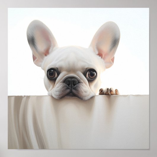 Poster tirage de l'adorable bulldog (Devant)