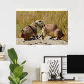 Poster "Tirage encadré du chien de prairie à queue noire (Bureau à domicile)