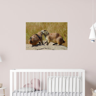 Poster "Tirage encadré du chien de prairie à queue noire
