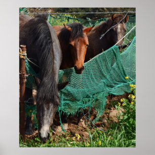 Poster Tirage photo 20x24 Trois chevaux Chingus Jeju-do