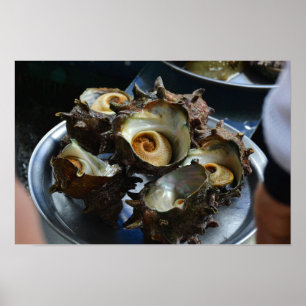 Poster Tirage photo de 18×12 Haenyeo Sora Conch Harvest