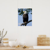 Poster Tirages d'art de l'aigle royal (Cuisine)