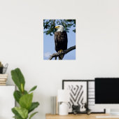Poster Tirages d'art de l'aigle royal (Bureau à domicile)