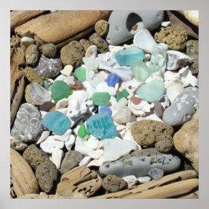 Poster Tirages d'art fin Océan Verre de Mer Coquillages B