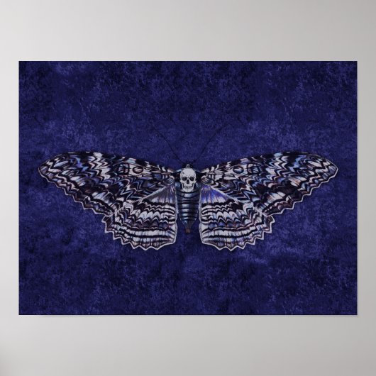 Poster Tiré Moth (Devant)