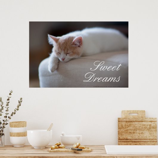Poster Tired Beige et White Kitten (Cuisine)