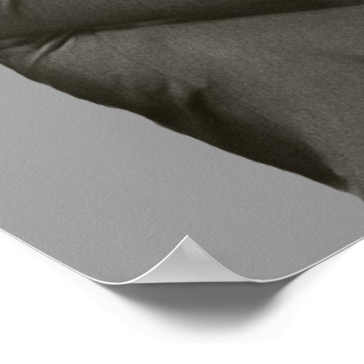 Poster Tireur Hillary (Coin)