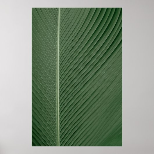 Poster Tissu rayé vert et blanc (Devant)