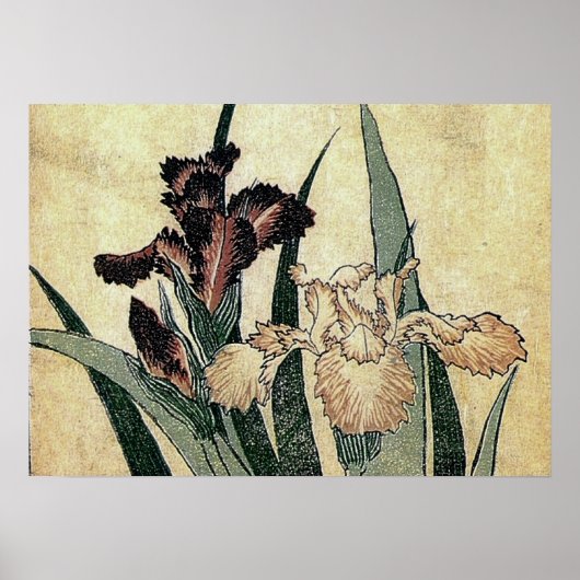 Poster Tissu Ukiyo-e de Katsushika Hokusai Imprimer : Iri (Devant)