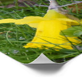 Poster Tit Long (Coin)