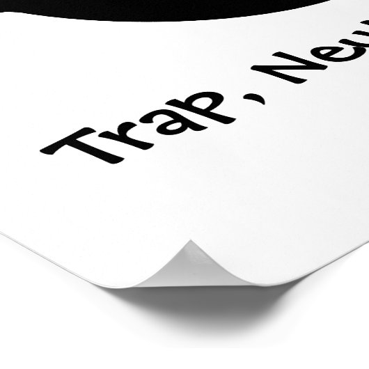 Poster TNR - Fuzzy Kitty (Coin)