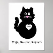 Poster TNR - Fuzzy Kitty (Devant)