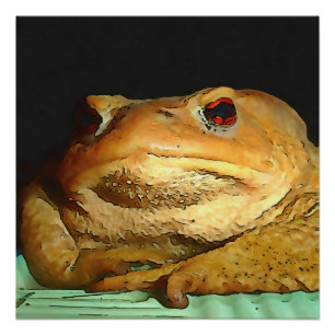 Poster Toad Avec La Peinture De Disposition Philosophique