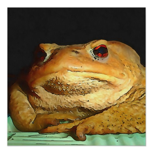 Poster Toad Avec La Peinture De Disposition Philosophique (Devant)