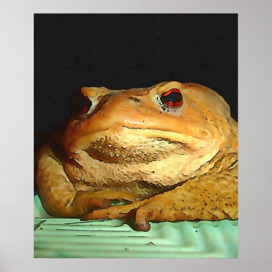 Poster Toad Avec La Peinture De Disposition Philosophique (Devant)