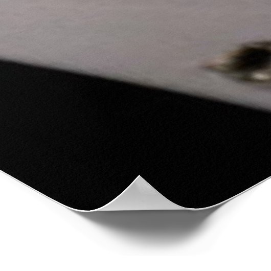 Poster Toast CARNIVALE des Titans (Coin)