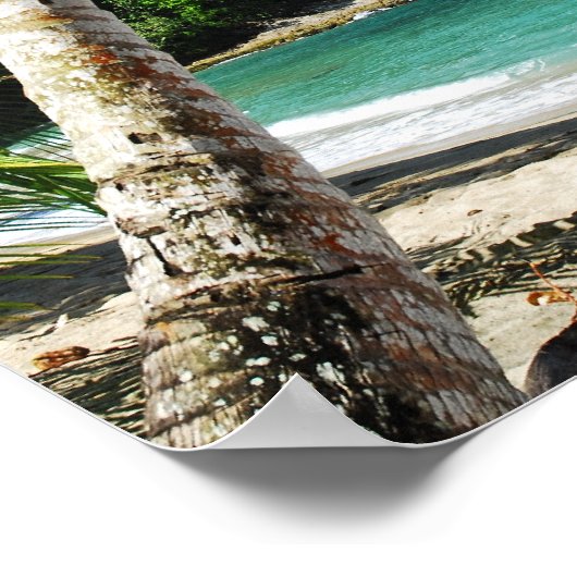 Poster Tobago - paradis des îles (Coin)
