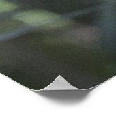 Poster Toco Toucan (Coin)