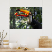 Poster Toco Toucan (Cuisine)