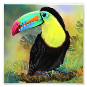 Poster Toco Toucan Peinture d'oiseaux Imprimer