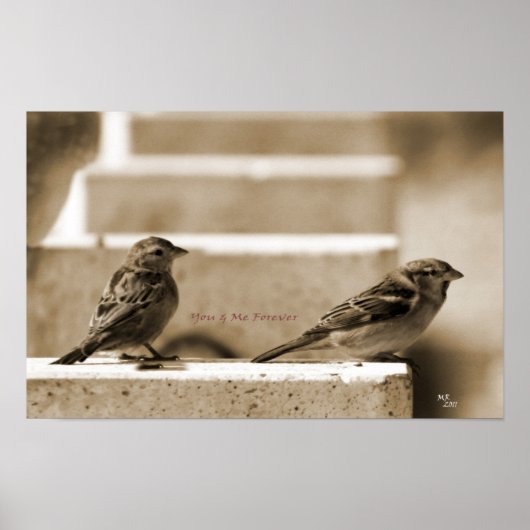 Poster Toi & Moi Pour Toujours (Devant)