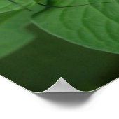 Poster Toile à deux papillons Imprimer (Coin)