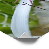 Poster Toile aux parfums floraux Imprimer (Coin)