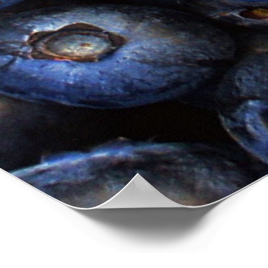 Poster Toile Blueberries (Coin)