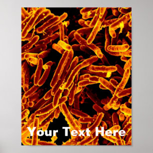 Poster toile d'affiche d'art abstrait de microbiologie de
