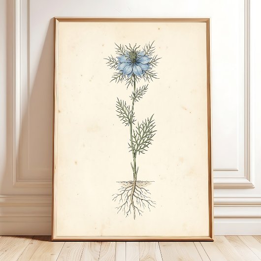 Poster Toile d'art botanique vintage