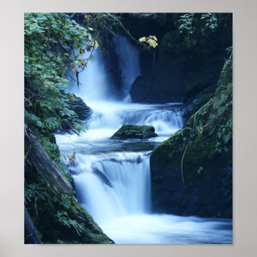 Poster Toile de cascade Quinalt Imprimer (Devant)