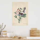 Poster Toile de pois doux Imprimer (Cuisine)