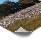 Poster Toile de terrain Maison et Coton Imprimer (Coin)