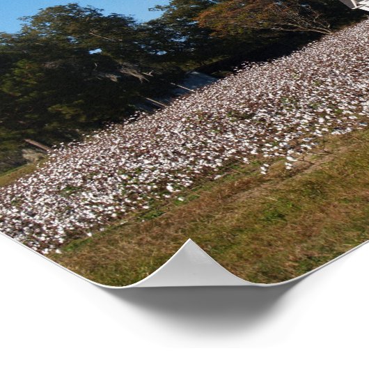 Poster Toile de terrain Maison et Coton Imprimer (Coin)