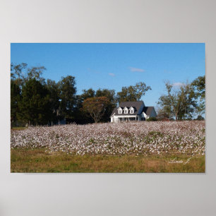 Poster Toile de terrain Maison et Coton Imprimer