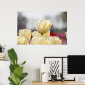 Poster Toile de tulipe (Bureau à domicile)