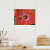 Poster Toile d'Hibiscus orange Imprimer (Cuisine)