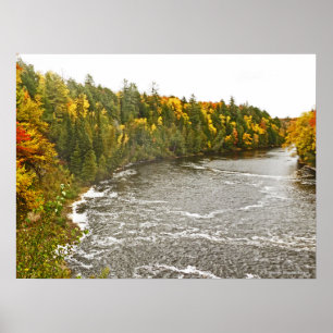 Poster toile en verre imprimé/TAHQUAMENON RIVER/GOLD AND 