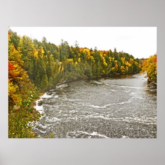 Poster toile en verre imprimé/TAHQUAMENON RIVER/GOLD AND (Devant)