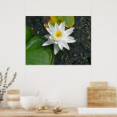 Poster Toile Imprimer Lit d'eau blanche (Cuisine)