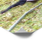 Poster Toile Jours Lazy (Coin)