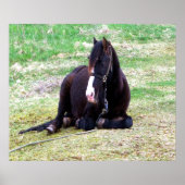 Poster Toile Jours Lazy (Devant)