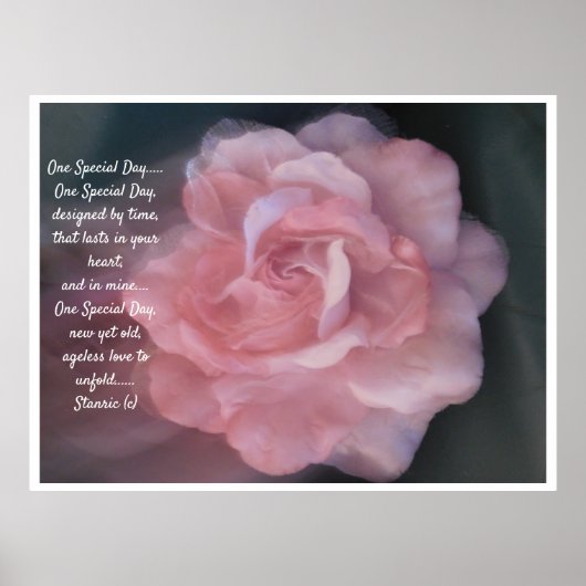 Poster Toile mariage (Devant)