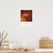 Poster Toile Orange Sodawitch Imprimer (Cuisine)